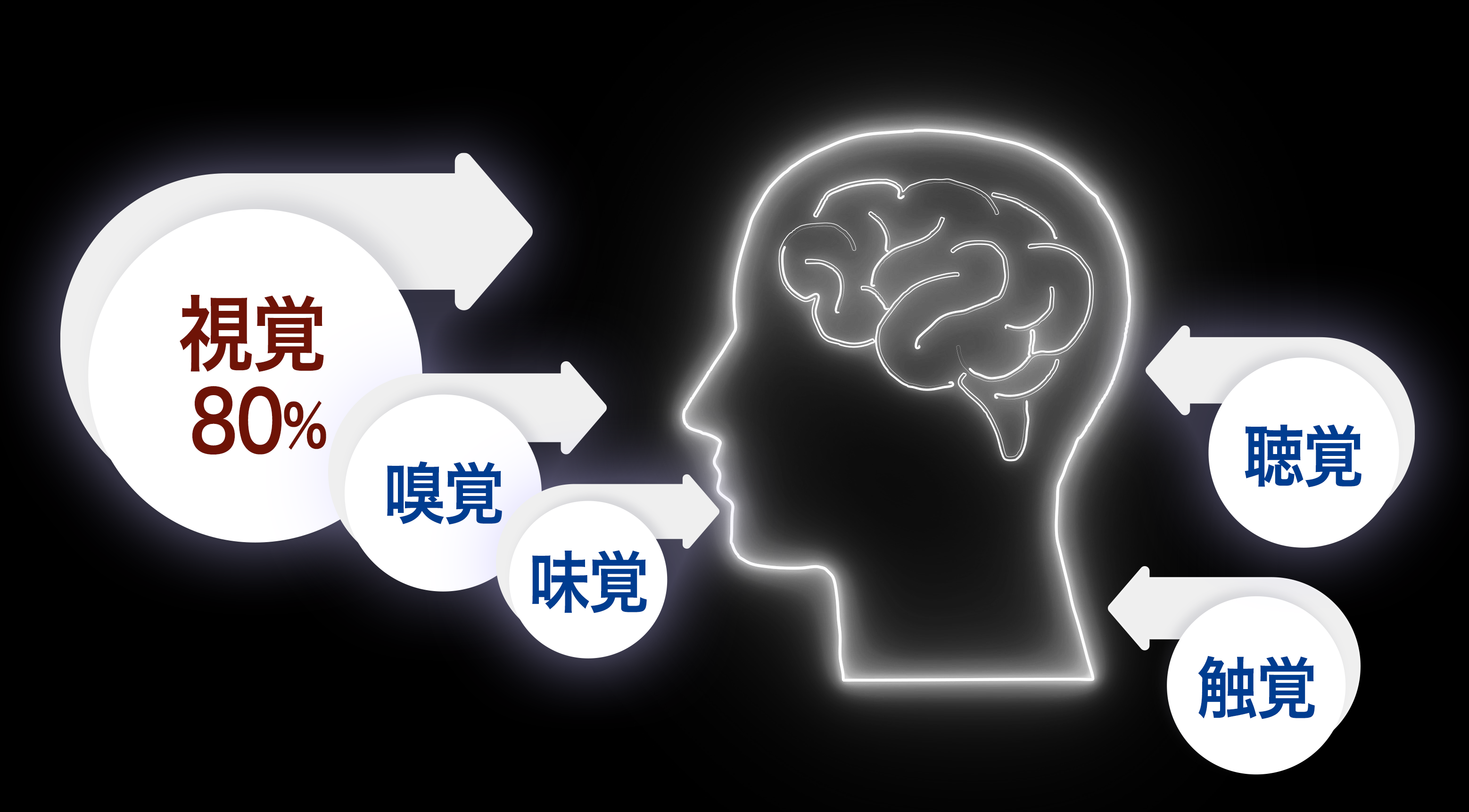 情報の80％は目から取り入れている