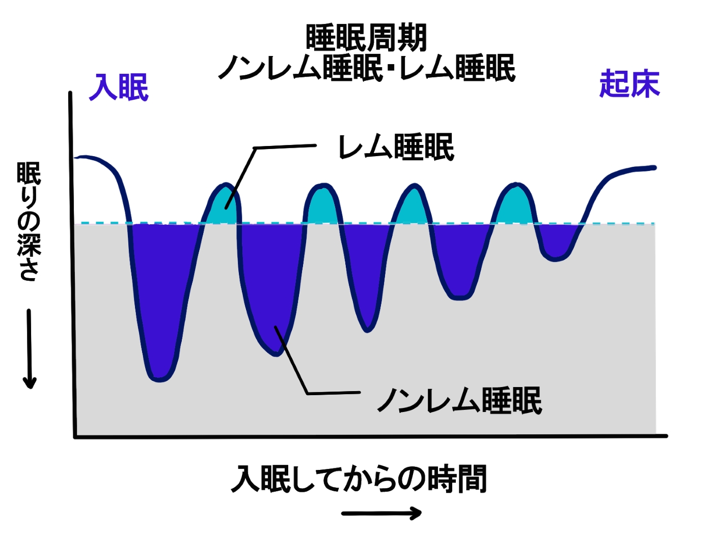 睡眠のメカニズム