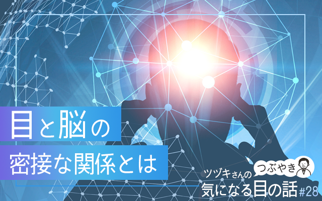 目と脳の密接な関係とは